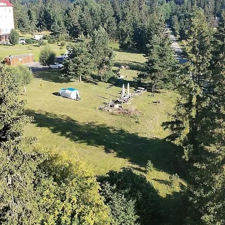 Líška V Tatranskej štrbe Tatranská Štrba