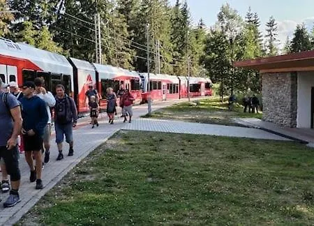 Líška V Tatranskej štrbe Tatranská Štrba