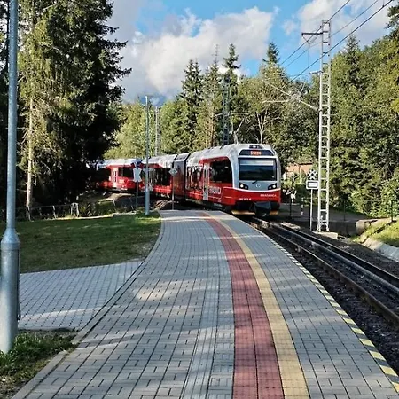 Liska V Tatranskej Strbe * Tatranska Strba