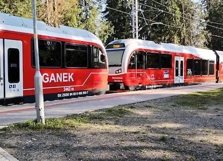 Líška V Tatranskej štrbe Tatranská Štrba