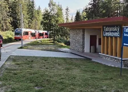 Líška V Tatranskej štrbe *