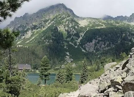Líška V Tatranskej štrbe