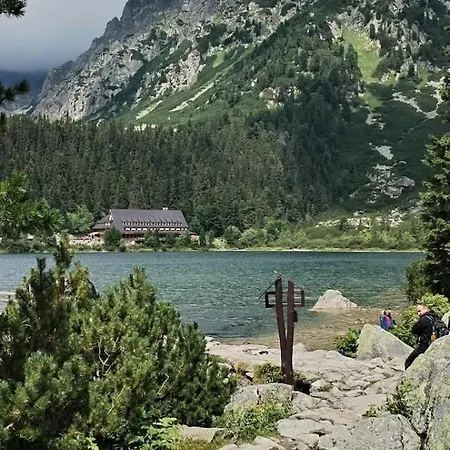 Líška V Tatranskej štrbe