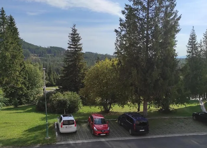 Liska V Tatranskej Strbe Tatranska Strba