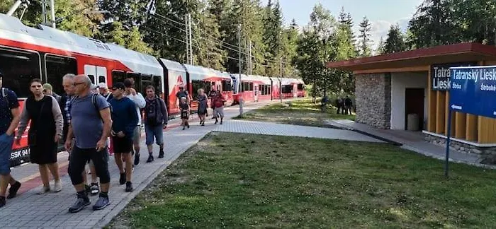 Liska V Tatranskej Strbe Tatranska Strba