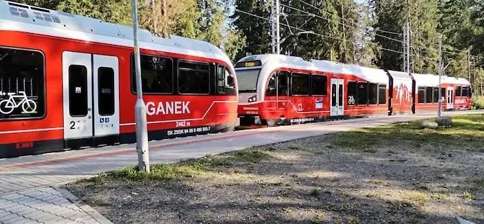 Liska V Tatranskej Strbe Tatranska Strba