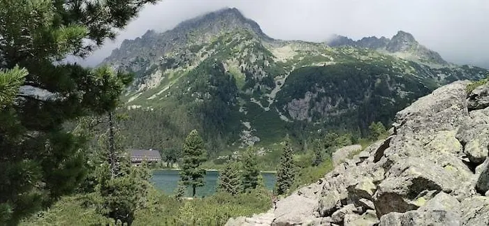 Liska V Tatranskej Strbe